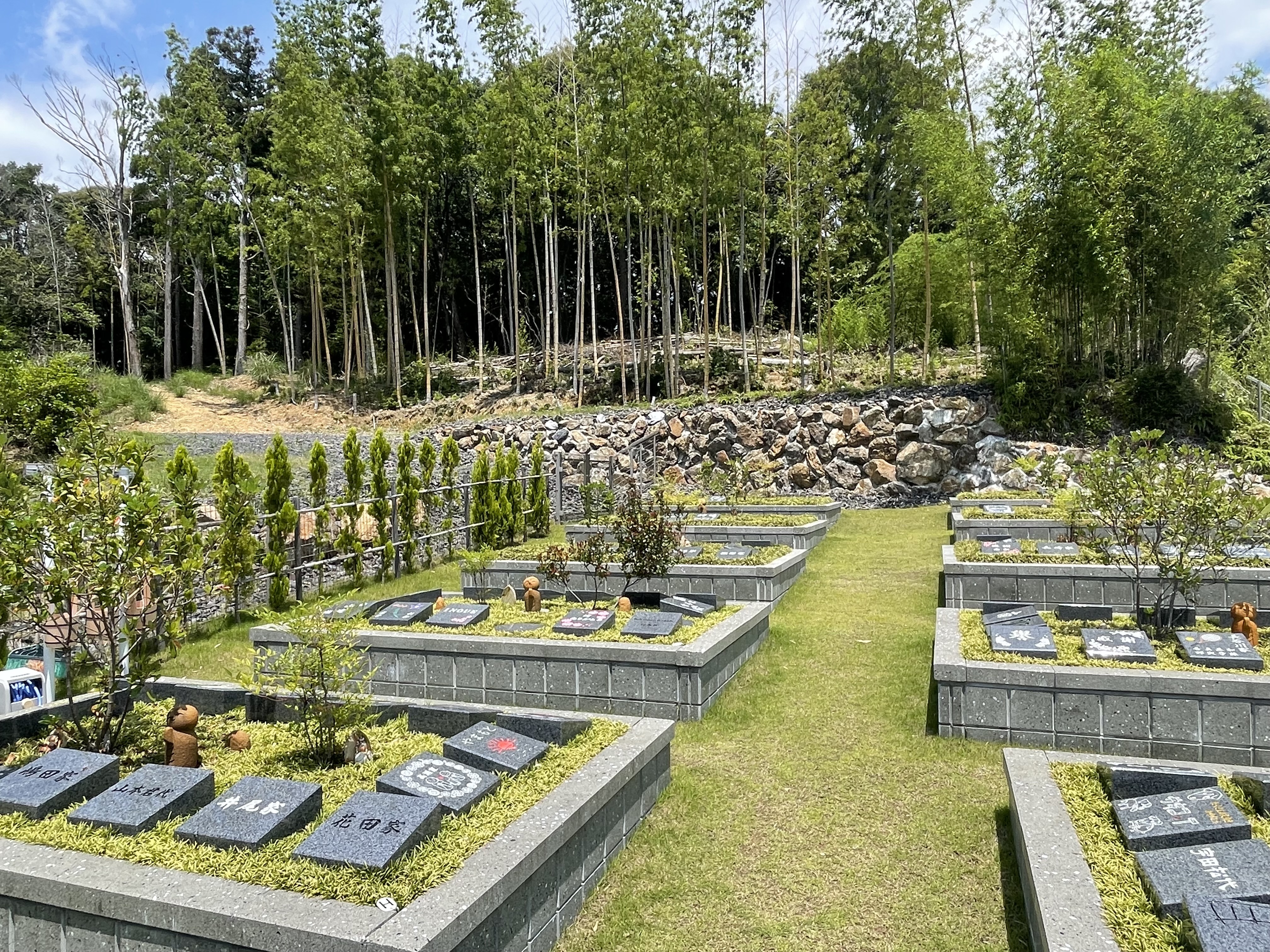 正傳寺　樹木葬　花